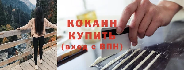 мет Елизово