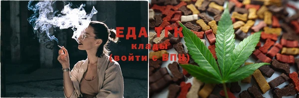 индика Дмитриев
