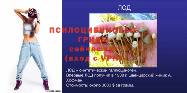 мет Елизово