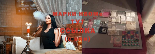 индика Дмитриев