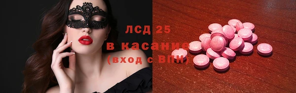 индика Дмитриев