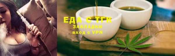 индика Дмитриев