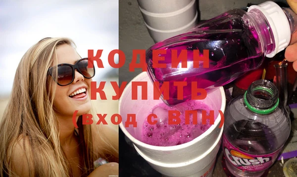 индика Дмитриев