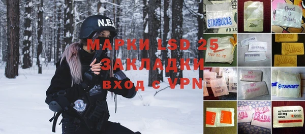 индика Дмитриев